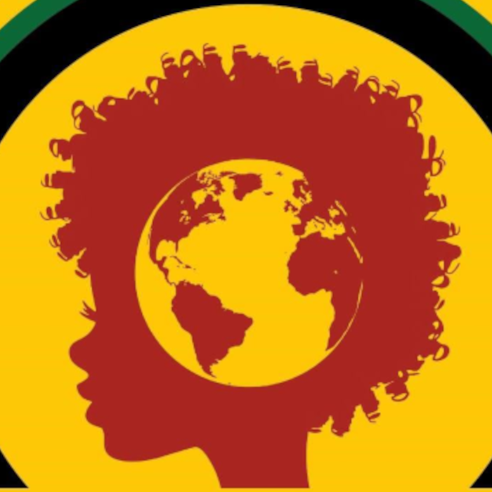 English & Social Justice Program